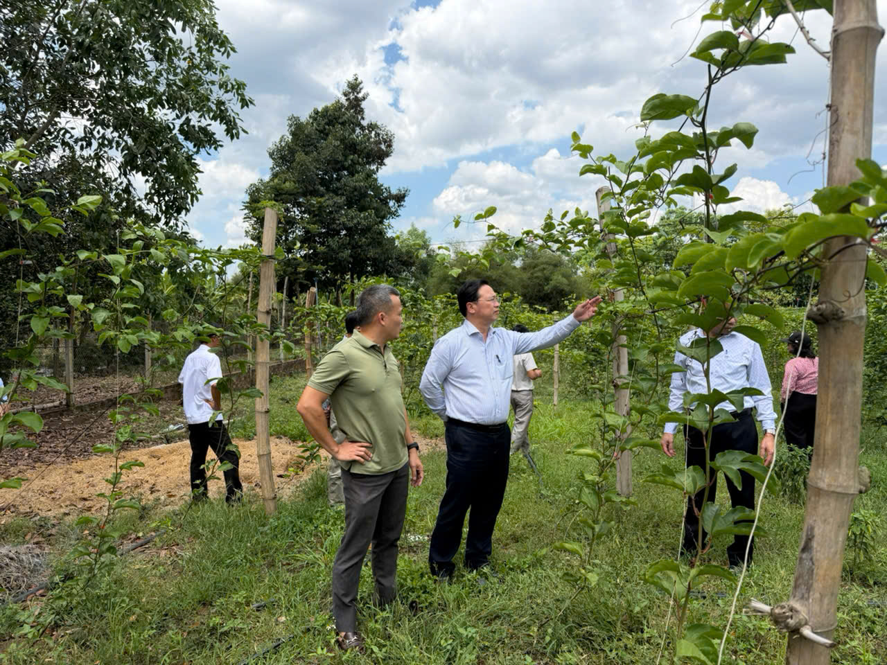 16e1766d74e0fabea3f1