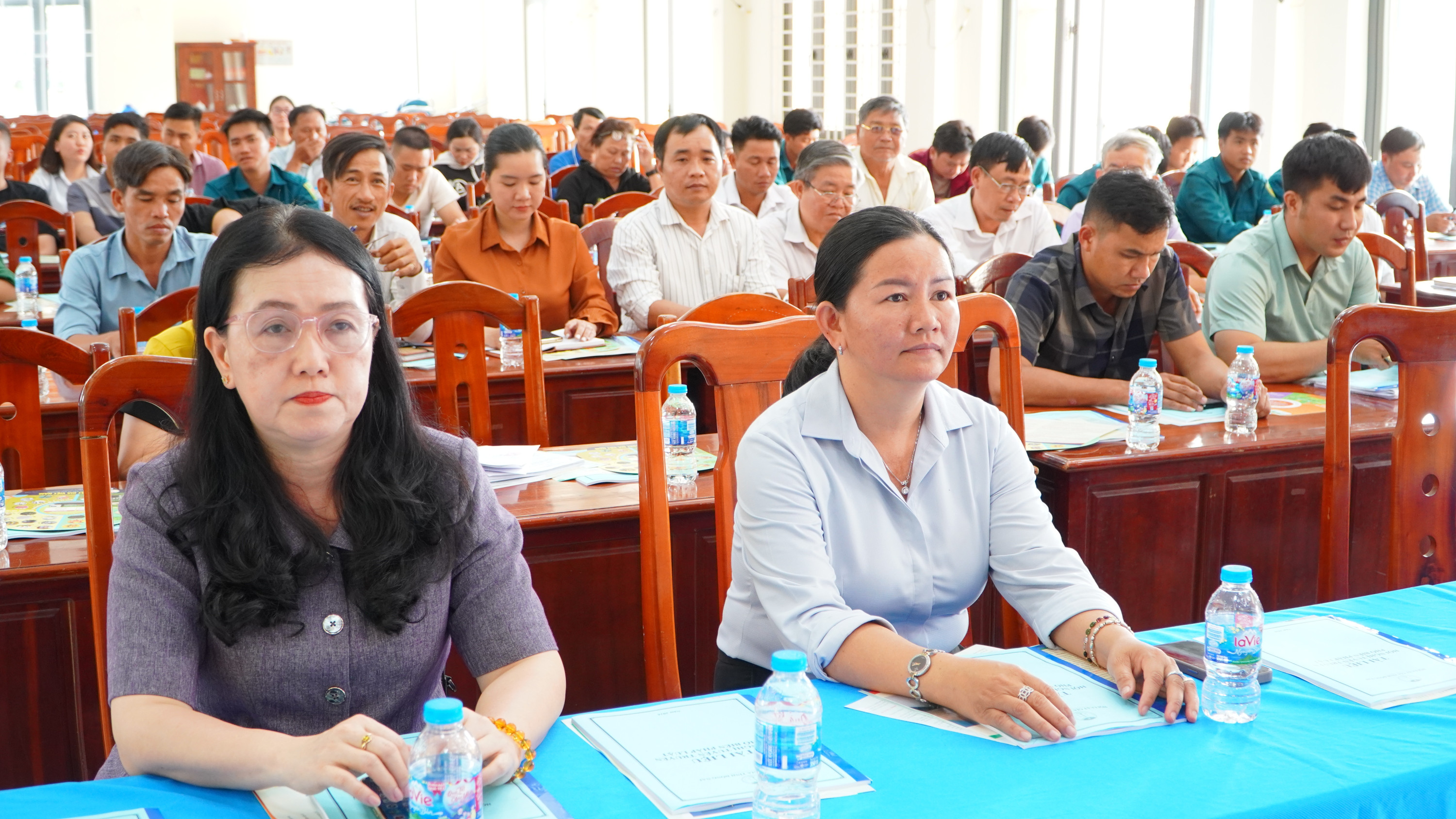 hoi luat gia tt bau cu 1