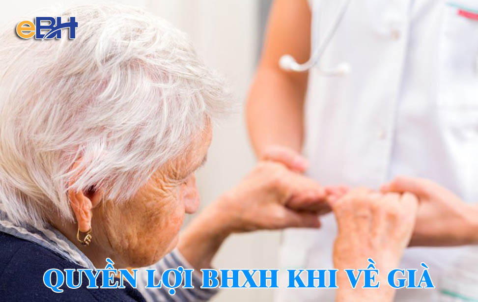 Chế độ tử tuất nhằm mang lại sự hỗ trợ thu nhập cho người thân.